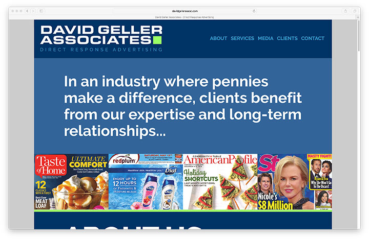 Website - David Geller Associates